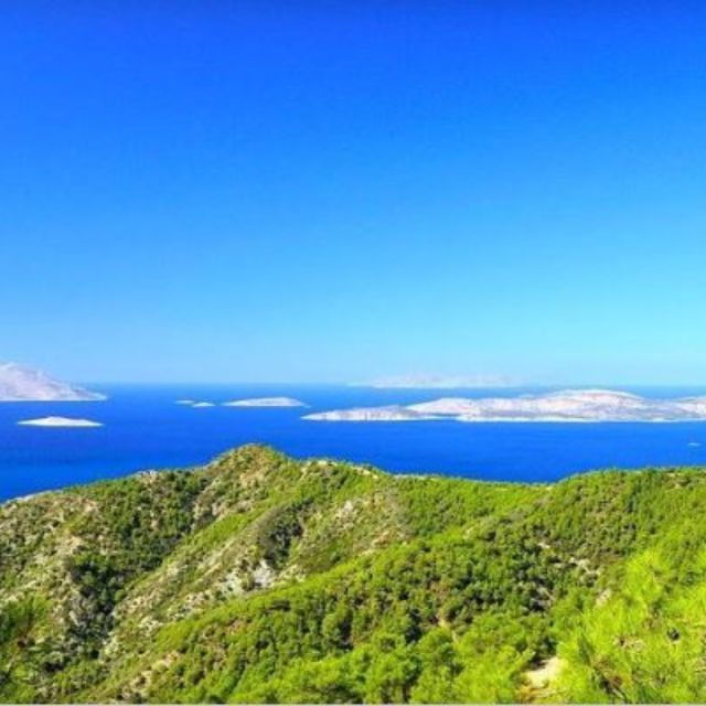 Shared Day Trip From Rhodes to Alimia Island - Experience Highlights