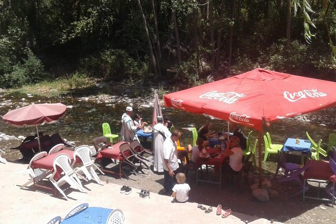 Shared Day Trip to Ourika Valley From Marrakech - What To Expect
