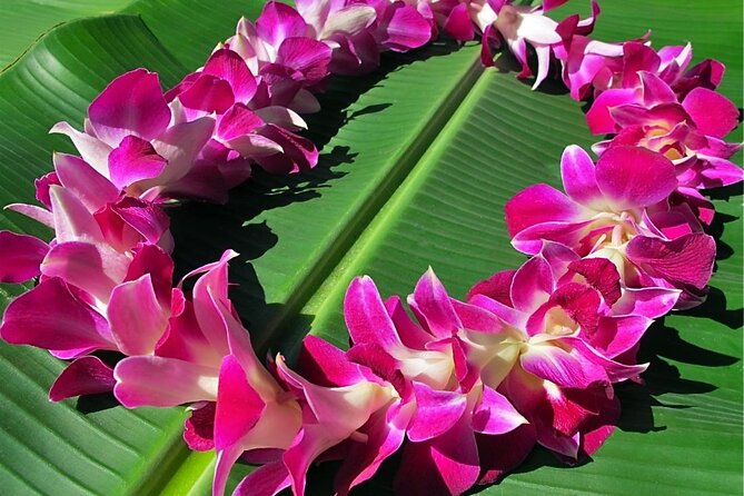 Shared Departure Transfer: Kauai Hotels to Kauai International Airport - Inclusions