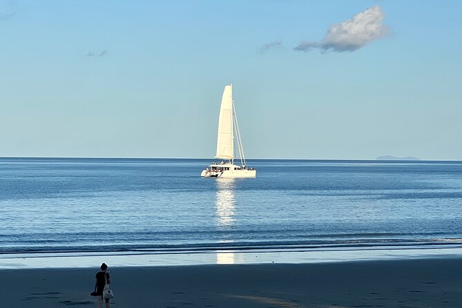 Shared Departure Transfer Port Douglas To Cairns Airport - Convenient Meeting Point With Your Driver