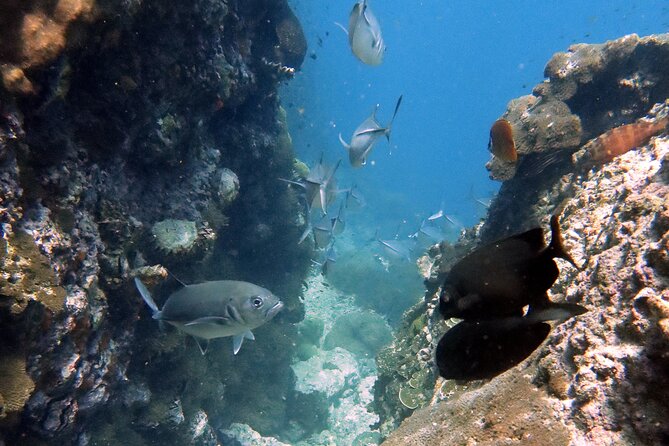 Shared Diving Experience in Sail Rock - Cancellation Policy