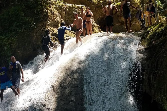 Shared Dunns River Falls Snorkel Cruise With Music, Open Bar From Runaway Bay - Tour Highlights