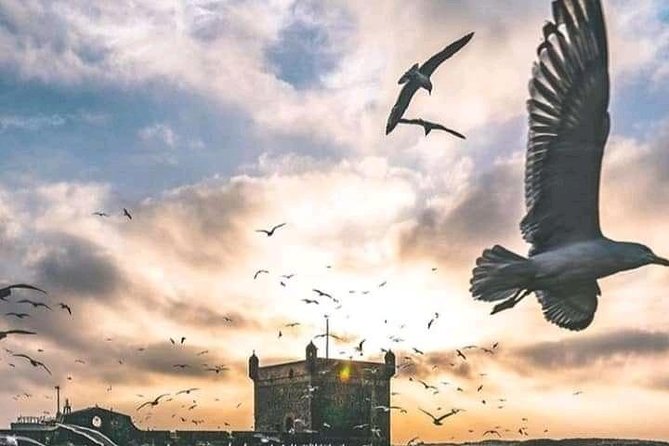 Shared Essaouira Full Day Trip From Marrakech - Cancellation Policy