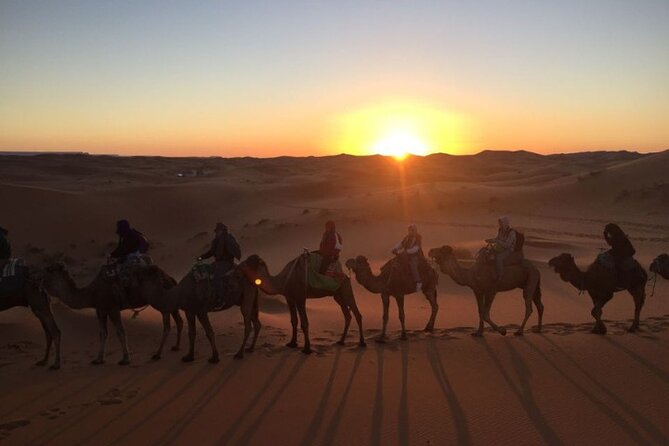 Shared Excursion From Marrakech to Agafay Desert With Dinner and Camel Ride - Accessibility and Policies