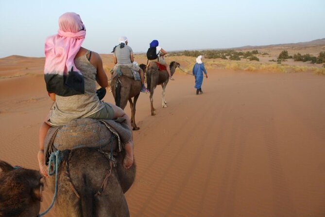Shared Excursion From Marrakech to Agafay Desert With Dinner and Camel Ride - Customer Reviews