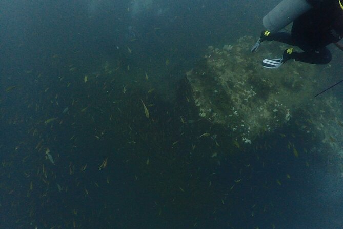 Shared Experience Padi Advanced Open Water Diver Course - Inclusions