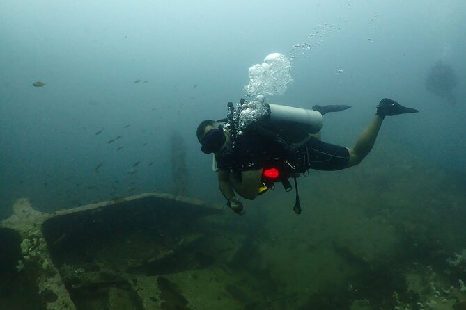 Shared Experience Padi Advanced Open Water Diver Course - Trainer and Training