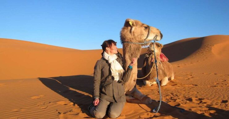 Shared Fes Desert Tours 2 Days Back to Fes - Experience Highlights