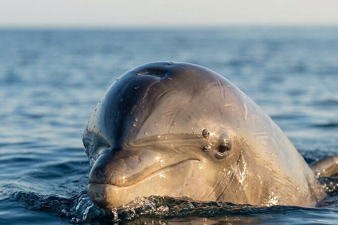 Shared Fiji Experience Rakiraki Tour by Land and Sea - The Itinerary Unpacked