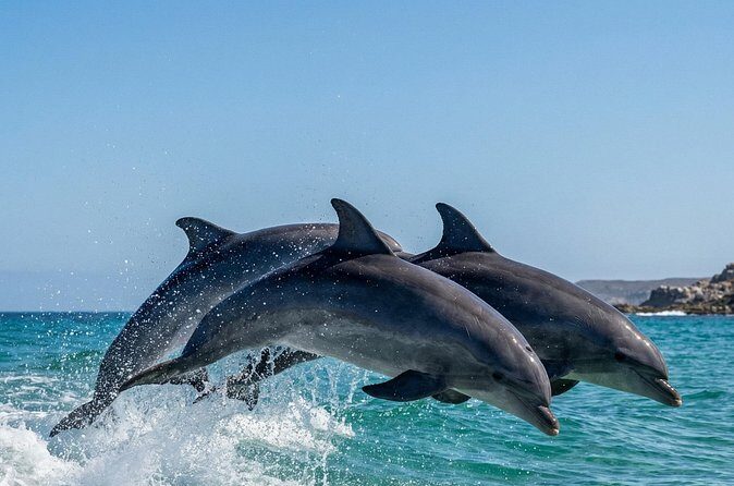 Shared Fiji Experience Rakiraki Tour by Land and Sea - Critical Considerations