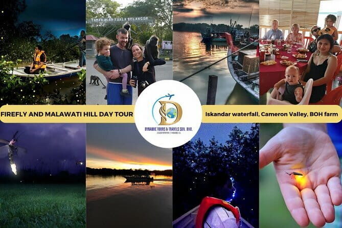 Shared Fireflies Tour with Blue Tears and Seafood Dinner - Final Thoughts