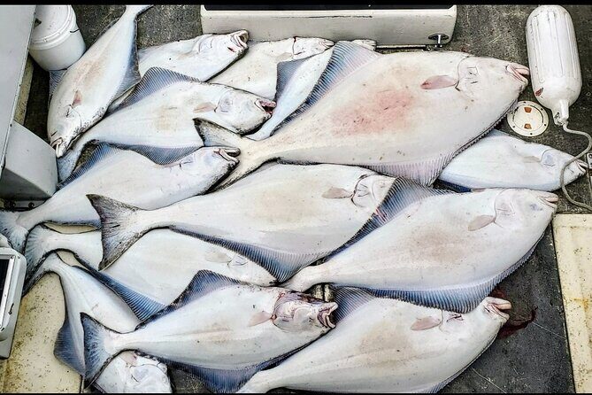 Shared Fishing Adventure in Icy Strait Hoonah Alaska - Pricing and Value