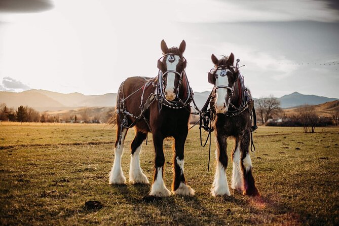 Shared Goldens History Wagon Ride Tour in Colorado - Pricing Information