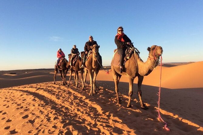 Shared Group 3 Days/2Nights: Fez to Marrakech Sahara Tour - Itinerary Overview