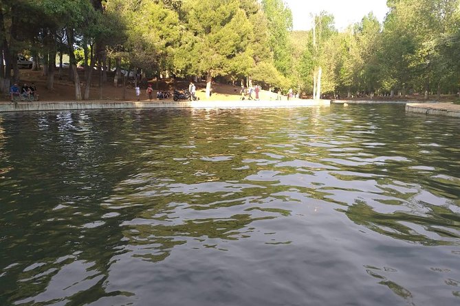 Shared Group Day Trip to Middle Atlas From Fez - Reviews and Ratings From Travelers