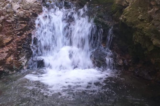 Shared Group Day Trip to Middle Atlas From Fez - Booking Information and Pricing Details