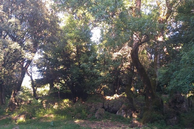 Shared Group Day Trip to Middle Atlas From Fez - Common Questions