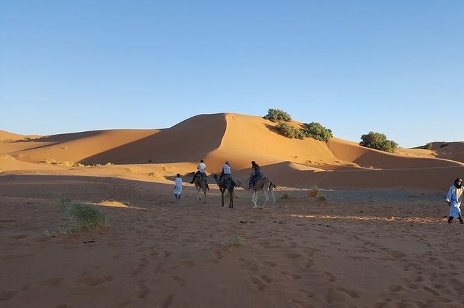 Shared Group Desert Tour Fez to Fez via Merzouga 2Days /1night - Itinerary Overview