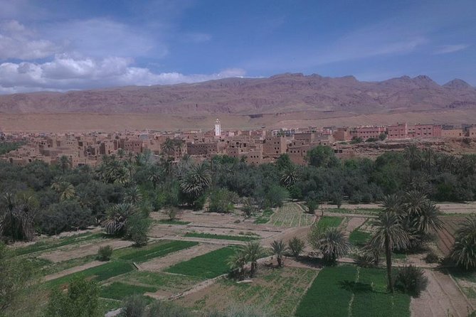 Shared Group Desert Tour From Marrakech to Fes 3 Days - Reviews and Ratings