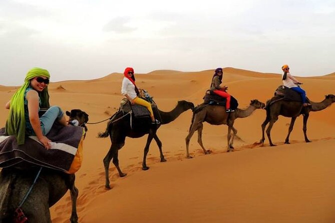 Shared Group Fez to Fez Sahara Tour 2days/1night - Tour Itinerary