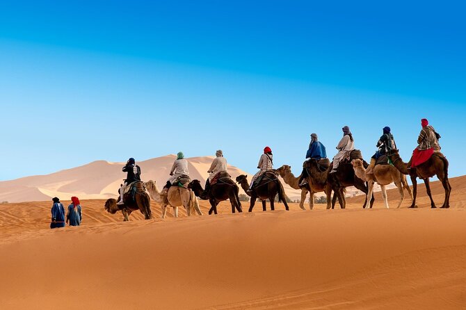 Shared Group Fez to Fez Sahara Tour 2days/1night - Transportation and Accommodation