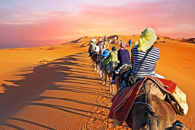Shared Group Fez to Fez Sahara Tour 2days/1night - Tour Guide and Group Dynamics