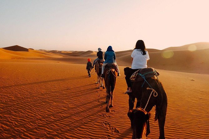 Shared Group Fez To Marrakech via Merzouga Desert Tour 2 Days - Tour Overview
