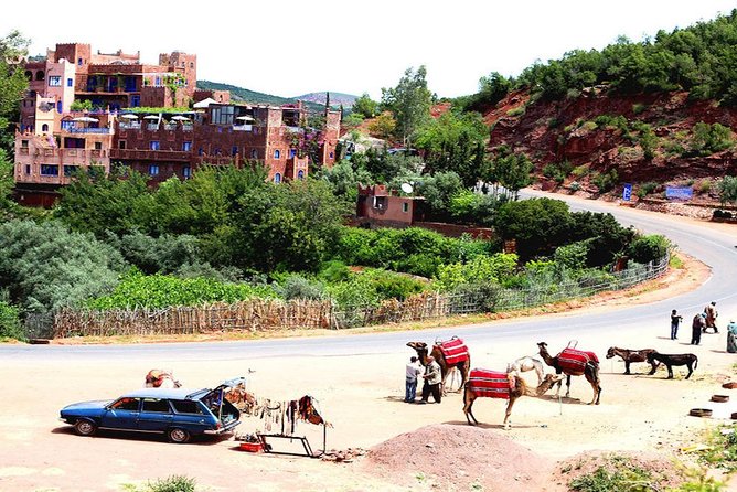 Shared Groupe Atlas Berber Life Ourika Valley One Day - Price Details