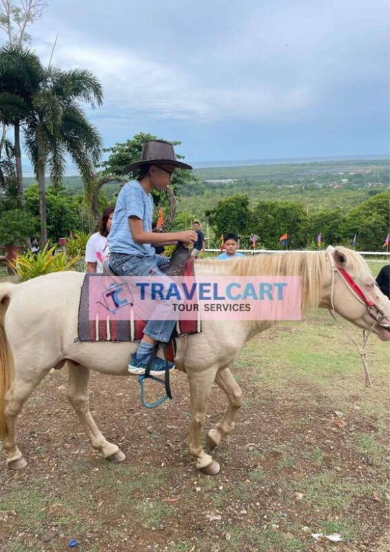 Shared Half City Tour with SPA - FAQ