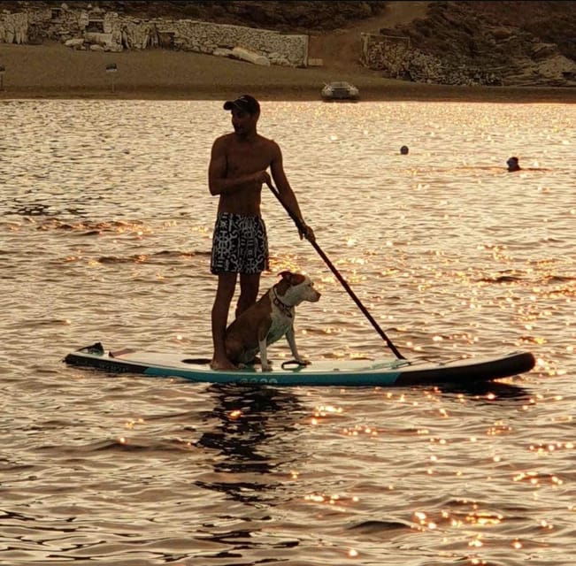 Shared Half Day Cruise in Athenian Riviera - What’s Included & What’s Not