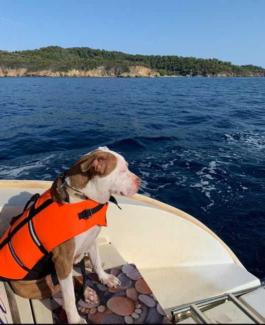 Shared Half Day Cruise in Athenian Riviera - Meeting Points & Practicalities
