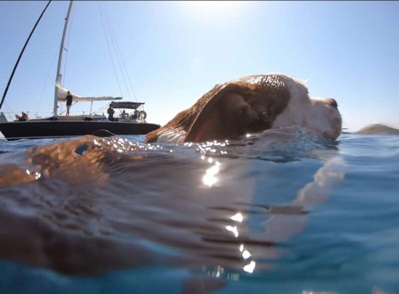 Shared Half Day Cruise in Athenian Riviera - Why This Experience Could Be Perfect for You