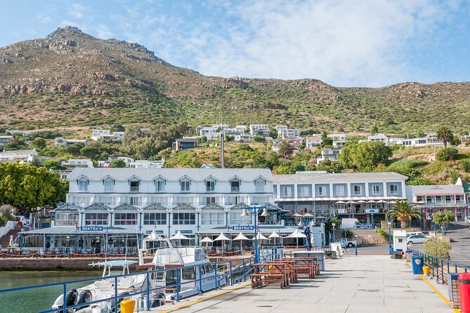 Shared Half Day Tour in Cape Peninsula With African Penguins - Meeting and Pickup Details