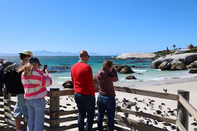 Shared Half Day Tour in Cape Peninsula With African Penguins - Tour Itinerary