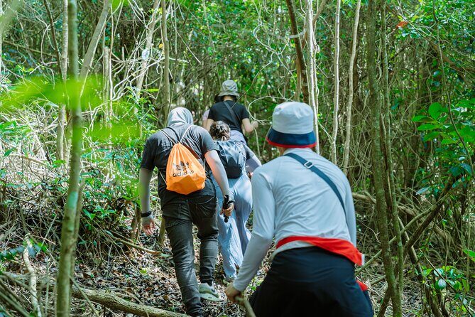 Shared Hiking and Paragliding Experience in Nha Trang - Good To Know