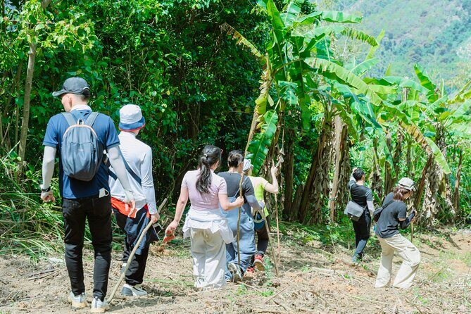 Shared Hiking and Paragliding Experience in Nha Trang - Authentic Insights from Travelers