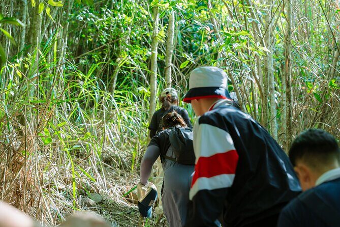 Shared Hiking and Paragliding Experience in Nha Trang - Who Should Consider This Tour?