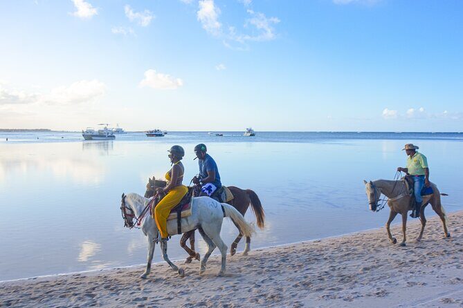 Shared horseback riding Punta Cana Beach - The Sum Up