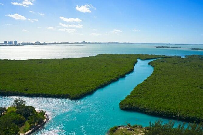 Shared Jungle Speed Boat Tour in Cancun - Overview and What to Expect