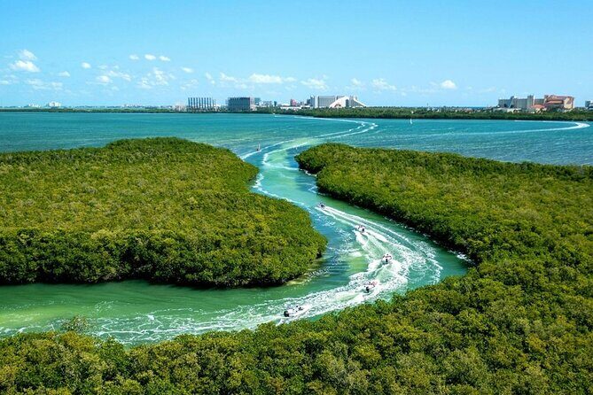 Shared Jungle Speed Boat Tour in Cancun - Authentic Experiences & Insights from Reviews