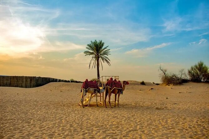 Shared Morning Desert Safari With Breakfast - Age Restrictions for the Shared Morning Desert Safari