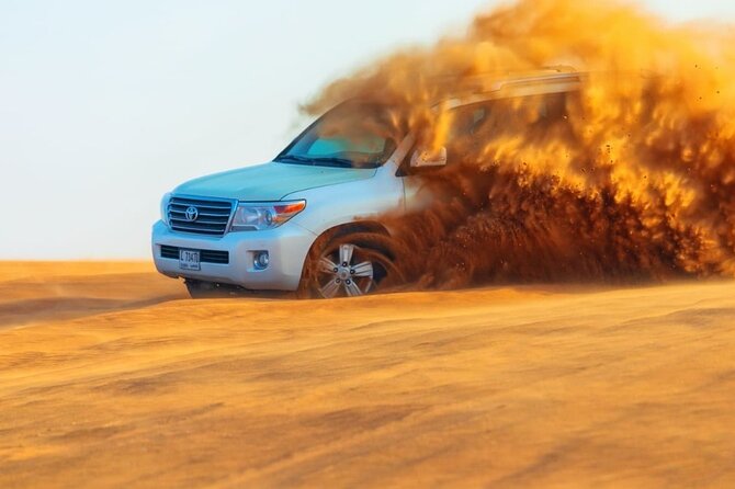 Shared Morning Safari - Safari Highlights