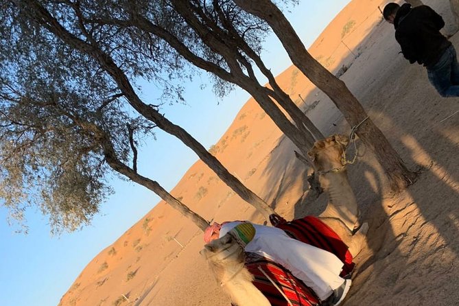 Shared Morning Safari - Wildlife Encounters