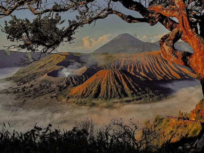 Shared Mount Bromo & Ijen Tours Start From Malang - 2D1N - Included Services
