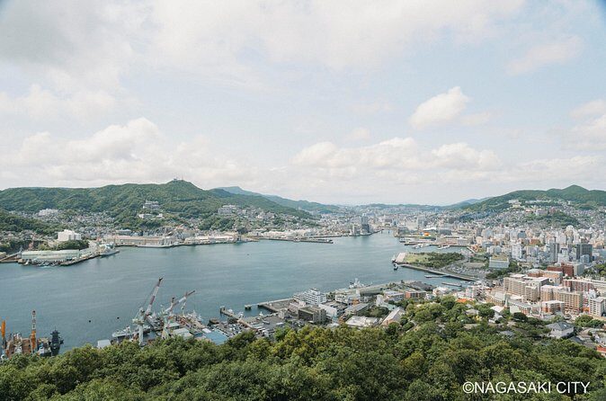 Shared Nagasaki Half-Day Sightseeing Tour for shore excursion - Who Will Love This Tour?
