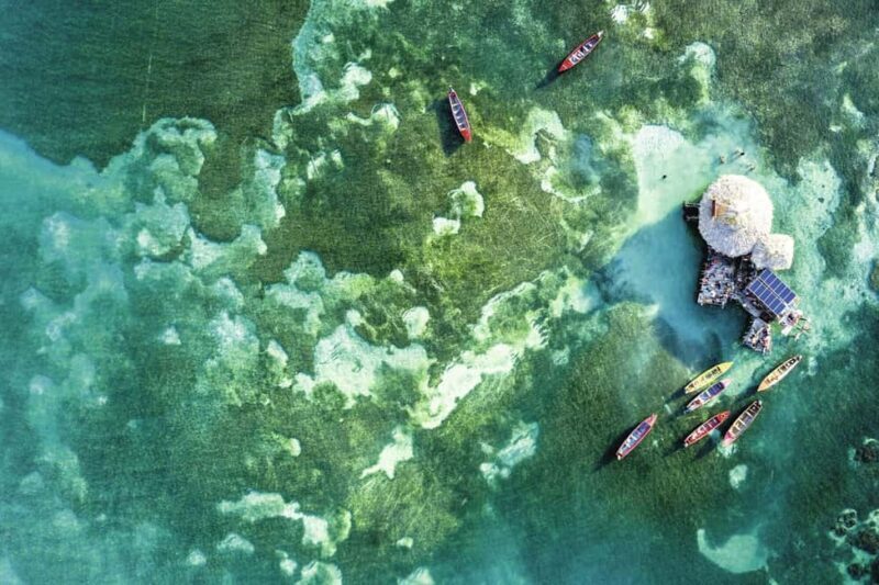 Shared or Private FD Appleton Rum, YS Falls & Pelican Bar - What to Expect from This Tour