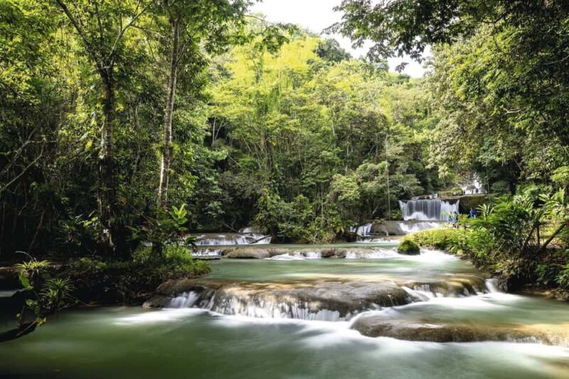 Shared or Private FD Appleton Rum, YS Falls & Pelican Bar - Transportation, Timing, and Group Size