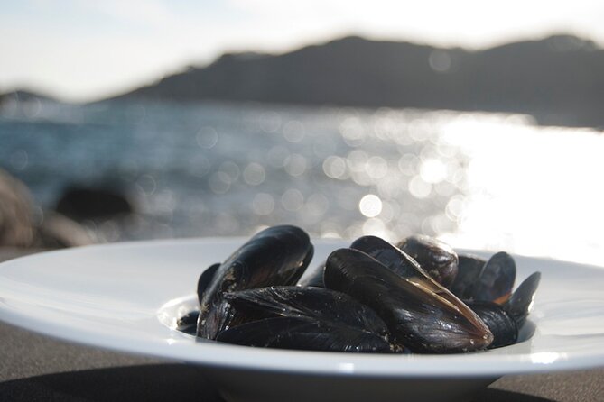 Shared Quality Fresh Shellfish Dinner in Barcelona - Shellfish Delicacies in Barcelona