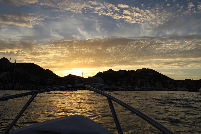 Shared Ride to the Arch of Cabo San Lucas - Customer Testimonials