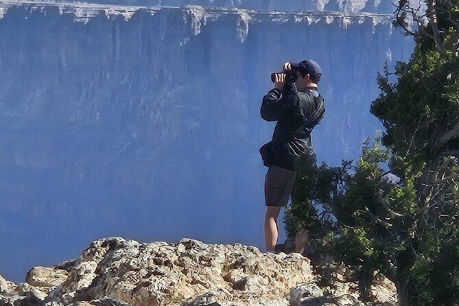 Shared Rim to Rim Transport - Deep Dive: What You Can Expect